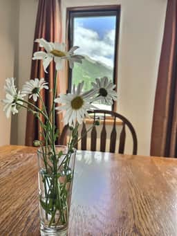 Comfortable Close to the Fun - 101