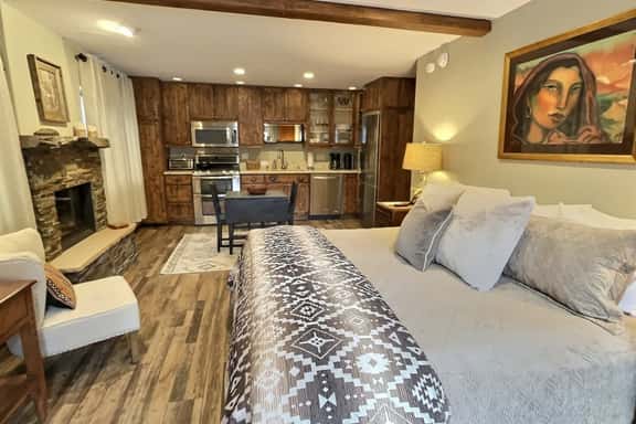 Stylish Studio Condo Pair - 301/302 - Image 1