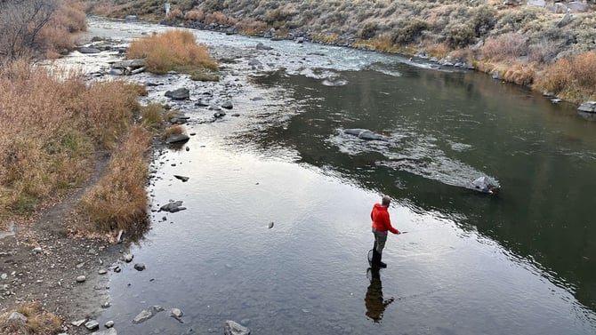 Best Places For Fly Fishing In New Mexico