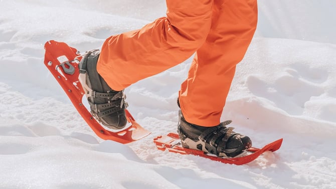 Find The Best Places For Snowshoeing Near Taos, New Mexico, In Winter