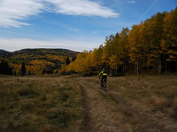 Mountain Biking Taos